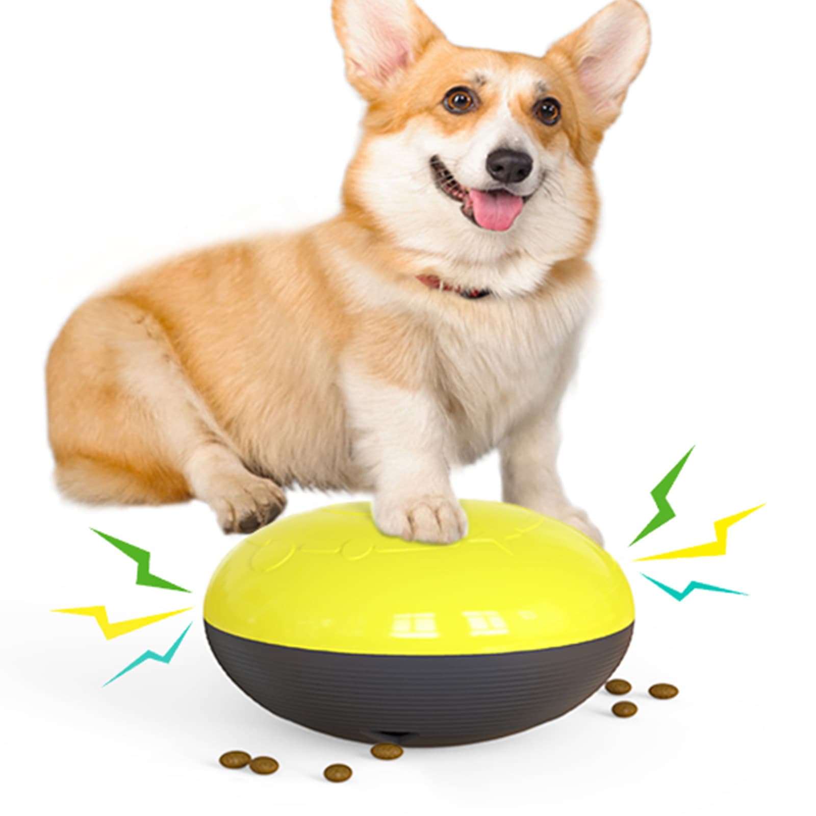 Dog Treat Dispensing Toy